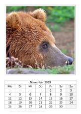 November_Kodiakbär_2.pdf